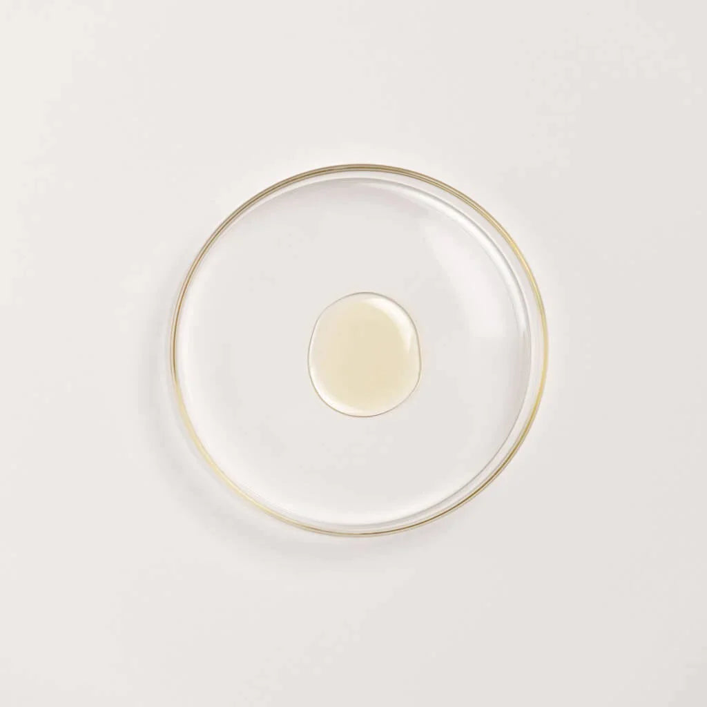 The Ayurveda Experience - Premium-Bestseller-Kombination