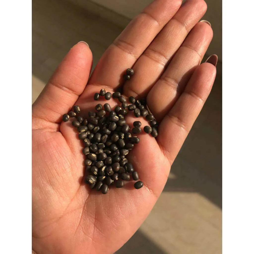 Balaayah Black Gram Booster Geschenkset