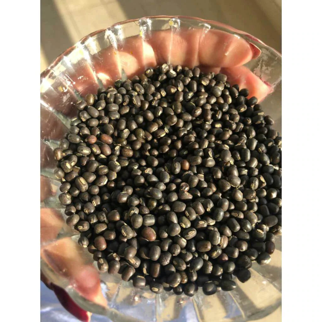 Balaayah Urdbohne Körper-Booster - Packung mit 2